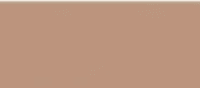 Screenshot 2025-04-10 124221 A tan background with white dots on it.