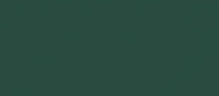 Screenshot 2025-04-10 124350 A dark green background with a white border.